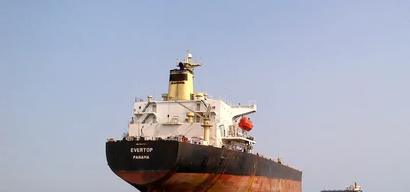 EVERTOP Bulk Carrier IMO 9046904 photo 2