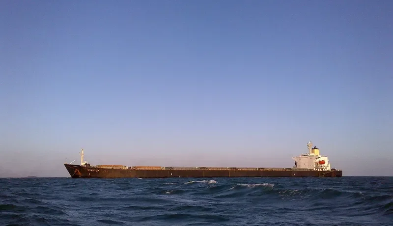 EVERTOP Bulk Carrier IMO 9046904 photo 4