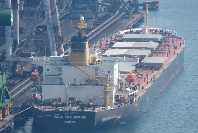 EVERTOP Bulk Carrier IMO 9046904 photo 5