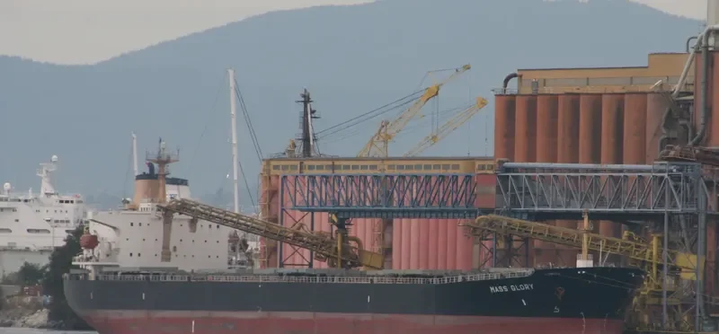 MASS GLORY Bulk Carrier IMO 9046916 photo 3