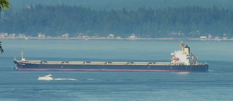 MASS GLORY Bulk Carrier IMO 9046916 photo 6