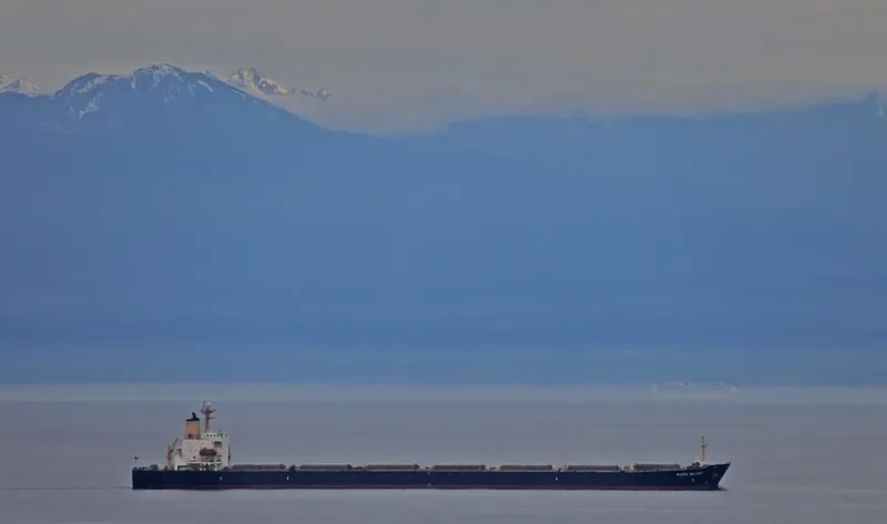 MASS GLORY Bulk Carrier IMO 9046916 photo 7