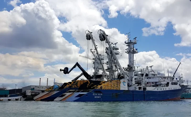 ELAI ALAI General Cargo IMO 9046966