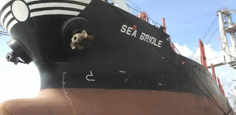 SEA BRIDLE Bulk Carrier IMO 9047001