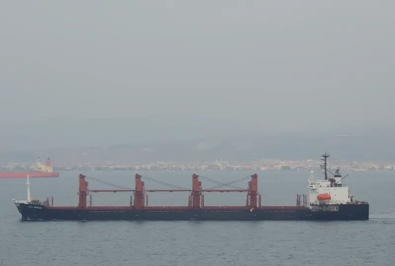 SEA BRIDLE Bulk Carrier IMO 9047001 photo 2