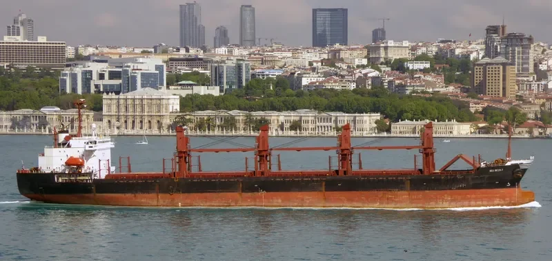 SEA BRIDLE Bulk Carrier IMO 9047001 photo 3