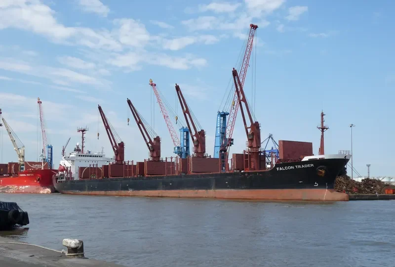 SEA BRIDLE Bulk Carrier IMO 9047001 photo 4