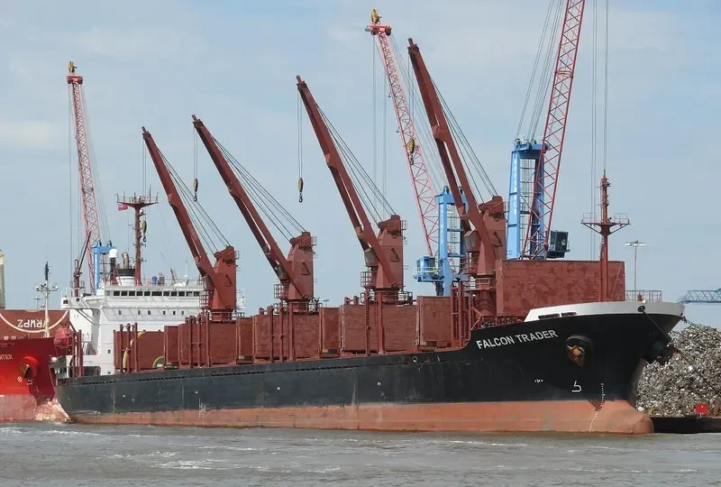 SEA BRIDLE Bulk Carrier IMO 9047001 photo 6