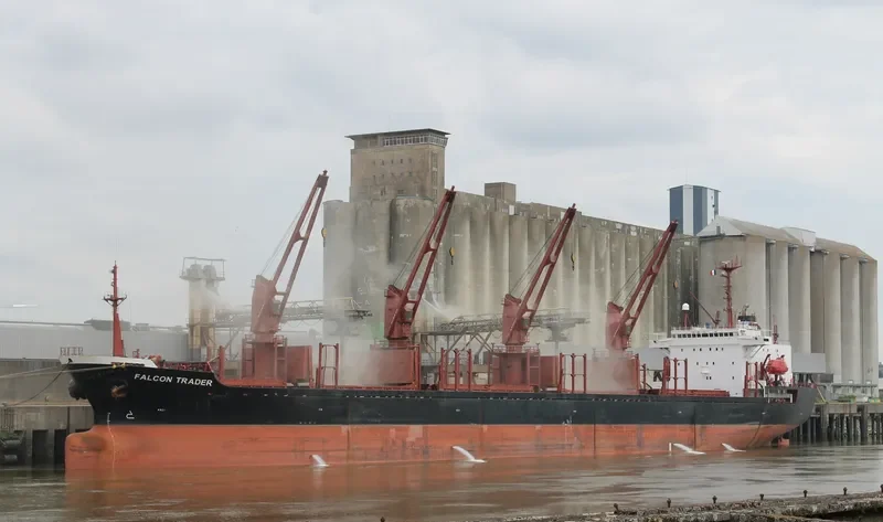 SEA BRIDLE Bulk Carrier IMO 9047001 photo 7