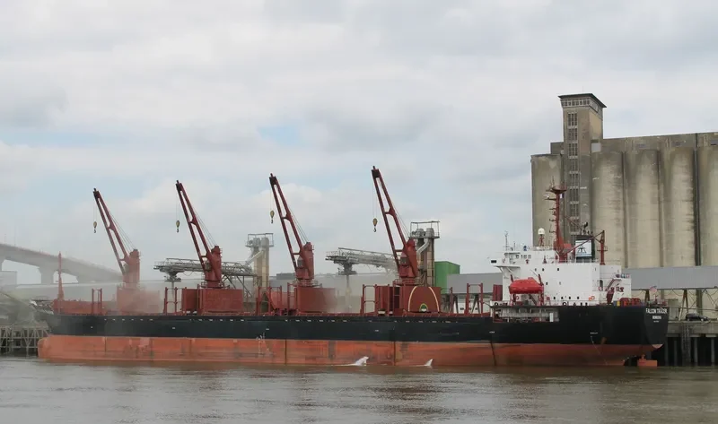 SEA BRIDLE Bulk Carrier IMO 9047001 photo 8