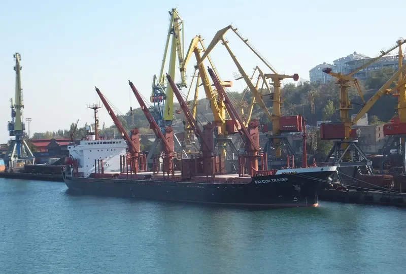 SEA BRIDLE Bulk Carrier IMO 9047001 photo 9
