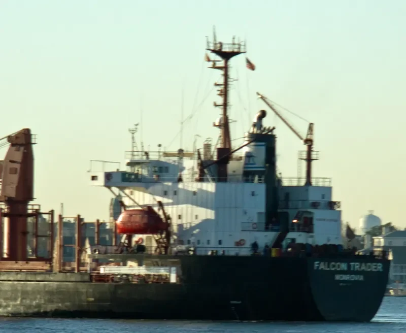 SEA BRIDLE Bulk Carrier IMO 9047001 photo 10