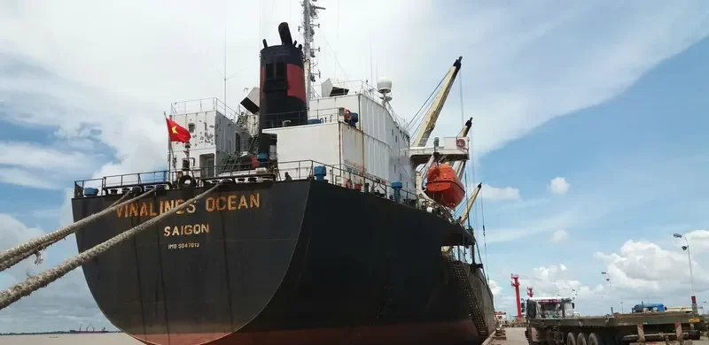 NEW GOLD Bulk Carrier IMO 9047013