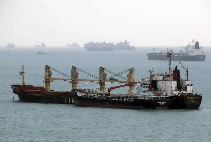 NEW GOLD Bulk Carrier IMO 9047013 photo 3