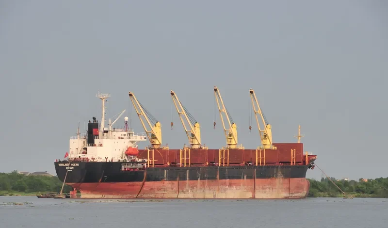 NEW GOLD Bulk Carrier IMO 9047013 photo 4