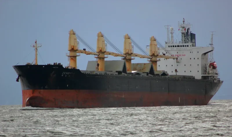 RUI FU OCEAN Bulk Carrier IMO 9047037 photo 3