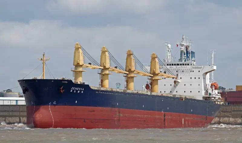 RUI FU OCEAN Bulk Carrier IMO 9047037 photo 8