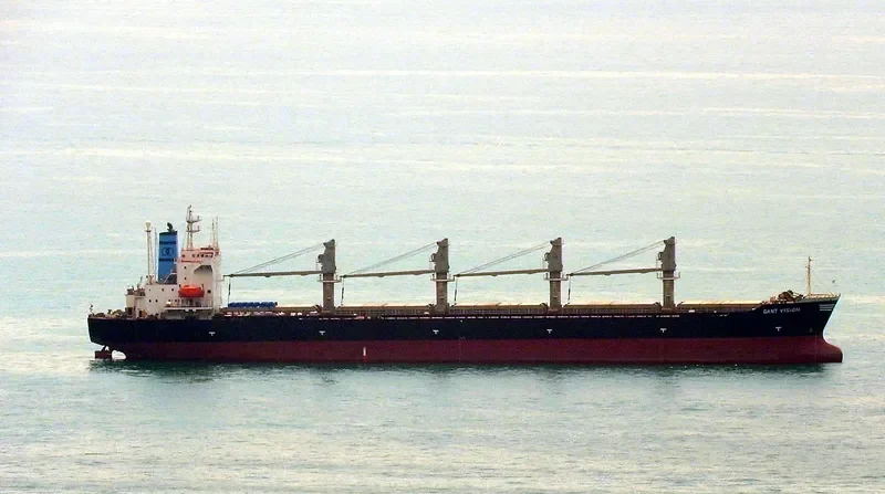 GANT VISION Bulk Carrier IMO 9047049 photo 2