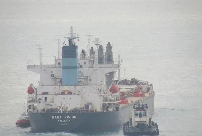 GANT VISION Bulk Carrier IMO 9047049 photo 7