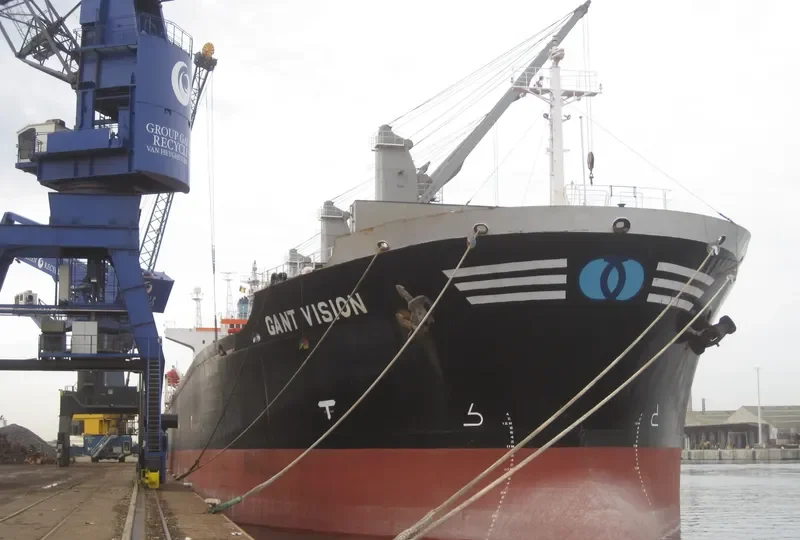 GANT VISION Bulk Carrier IMO 9047049 photo 9