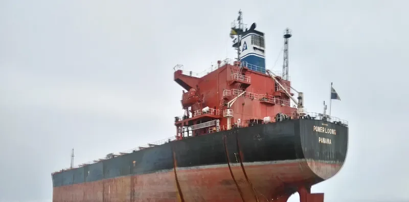 POWER LOONG Bulk Carrier IMO 9047051 photo 3