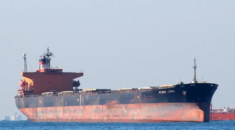 POWER LOONG Bulk Carrier IMO 9047051 photo 8