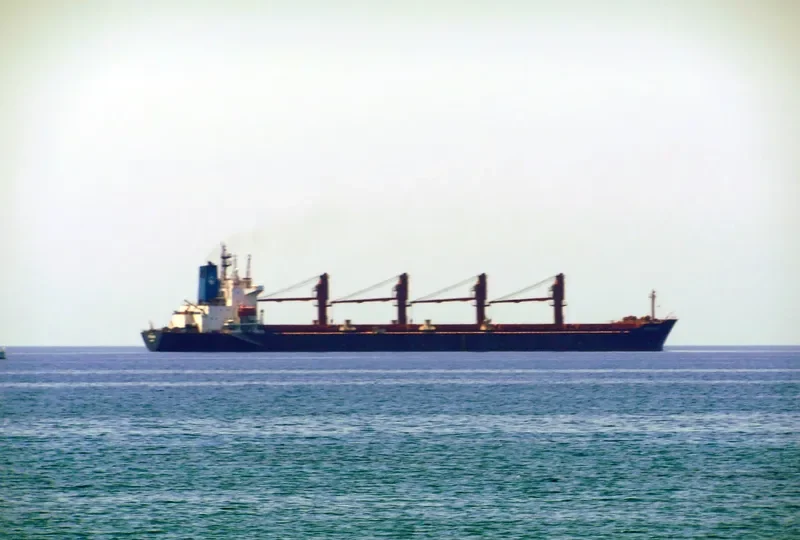 TEKTONEOS Bulk Carrier IMO 9047063 photo 7
