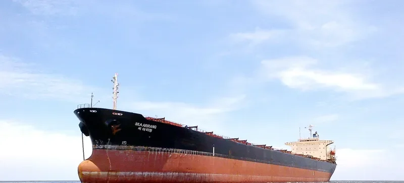 ALPS Bulk Carrier IMO 9047087 photo 2