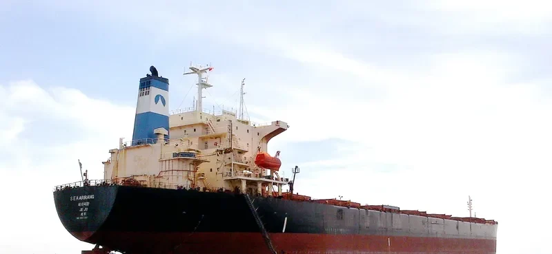 ALPS Bulk Carrier IMO 9047087 photo 3