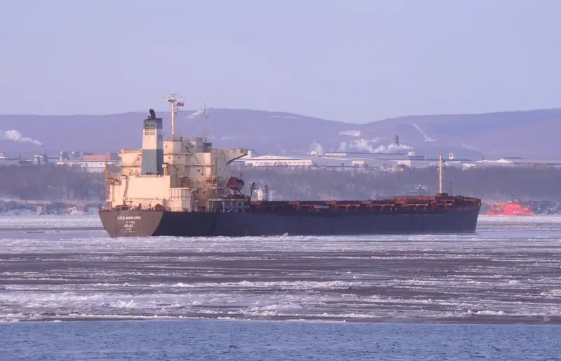 ALPS Bulk Carrier IMO 9047087 photo 10
