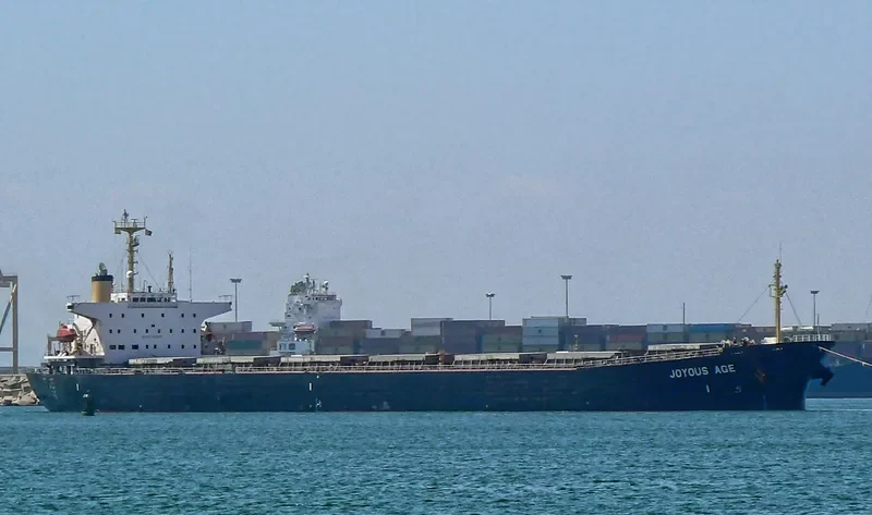 JOYOUS AGE Bulk Carrier IMO 9047099
