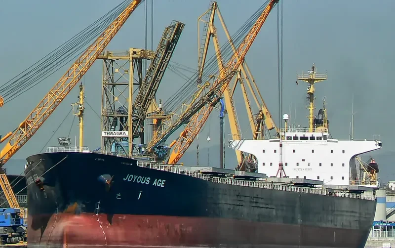JOYOUS AGE Bulk Carrier IMO 9047099 photo 2