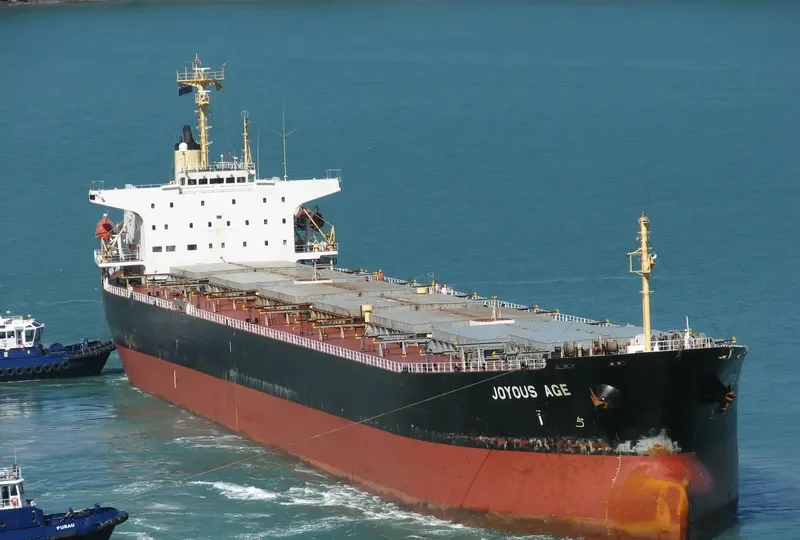 JOYOUS AGE Bulk Carrier IMO 9047099 photo 3