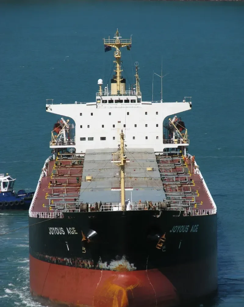 JOYOUS AGE Bulk Carrier IMO 9047099 photo 4