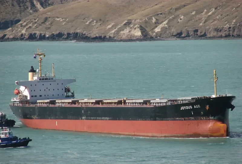 JOYOUS AGE Bulk Carrier IMO 9047099 photo 5