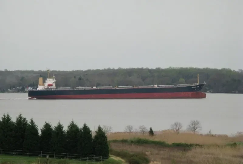 JOYOUS AGE Bulk Carrier IMO 9047099 photo 7