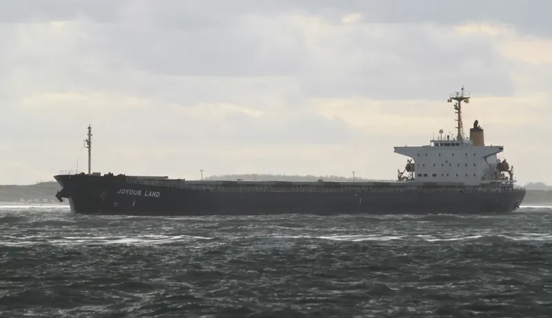 JOYOUS LAND Bulk Carrier IMO 9047104 photo 4