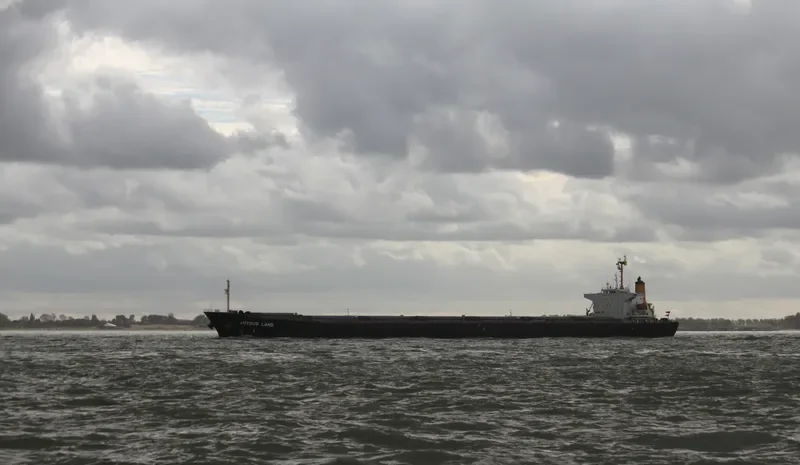 JOYOUS LAND Bulk Carrier IMO 9047104 photo 5