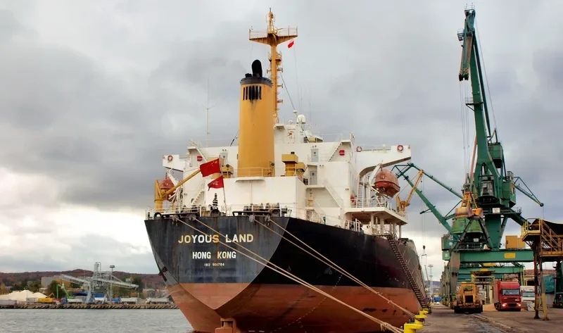 JOYOUS LAND Bulk Carrier IMO 9047104 photo 6