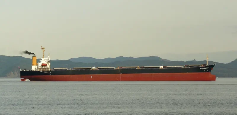 JOYOUS LAND Bulk Carrier IMO 9047104 photo 7