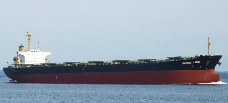 JOYOUS LAND Bulk Carrier IMO 9047104 photo 8
