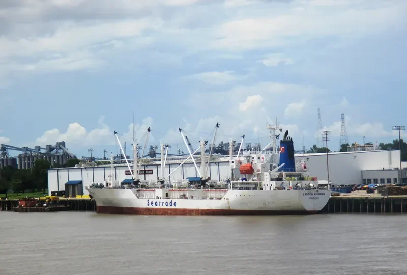 LAGOON PHOENIX General Cargo IMO 9047245