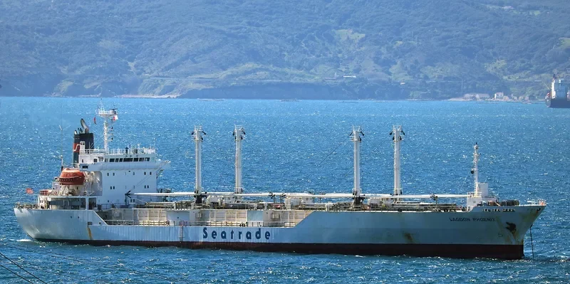 LAGOON PHOENIX General Cargo IMO 9047245 photo 7