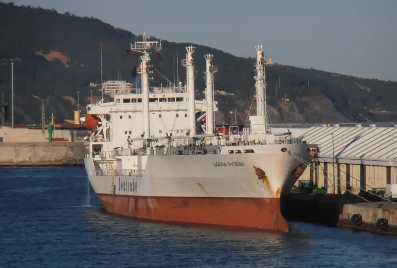 LAGOON PHOENIX General Cargo IMO 9047245 photo 9