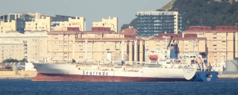 SEIN PHOENIX General Cargo IMO 9047271