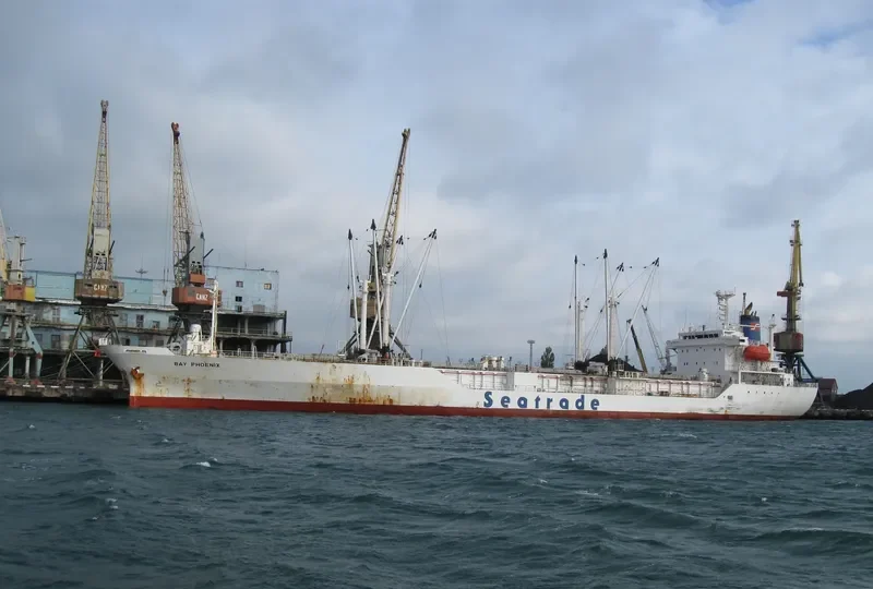 SEIN PHOENIX General Cargo IMO 9047271 photo 2