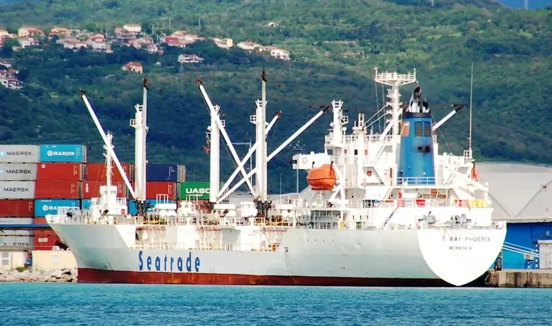 SEIN PHOENIX General Cargo IMO 9047271 photo 4