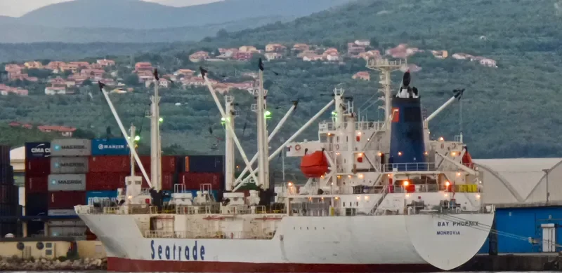 SEIN PHOENIX General Cargo IMO 9047271 photo 7