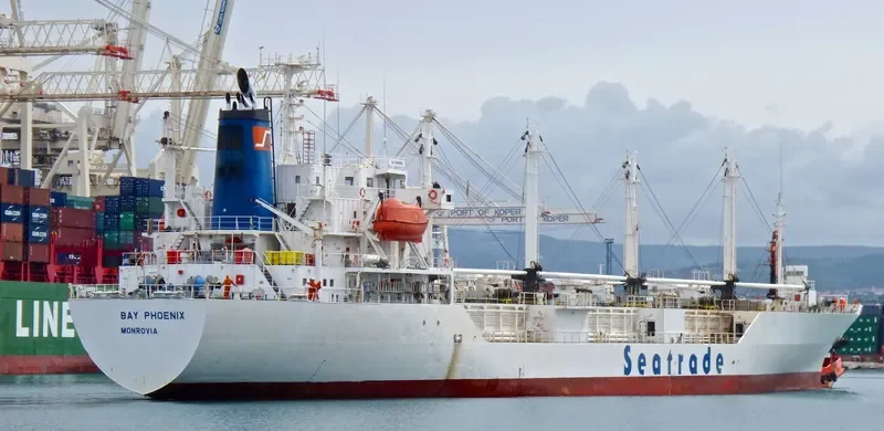 SEIN PHOENIX General Cargo IMO 9047271 photo 9