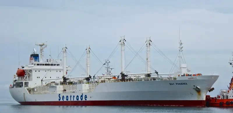 SEIN PHOENIX General Cargo IMO 9047271 photo 10